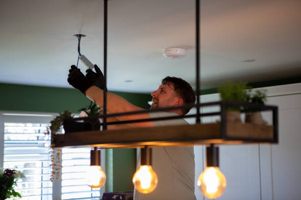 Best Electric Panel Repair  in Westmont, IL
